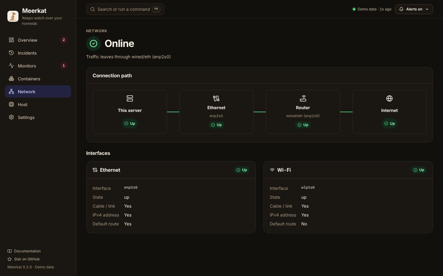 Network page in dark mode showing the connection path from server to internet